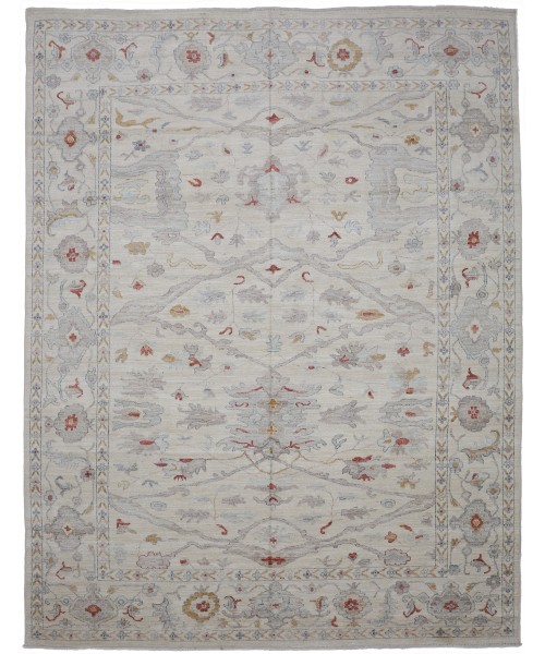 48803 Ziegler Pakistani